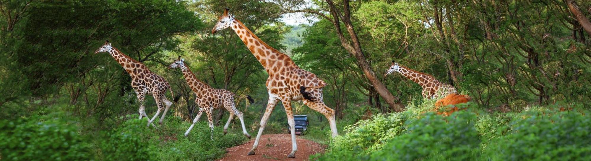 Chobe Safari Lodge Kamdini Luaran gambar